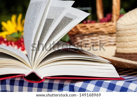 Picnic space with an opened novel in the foreground