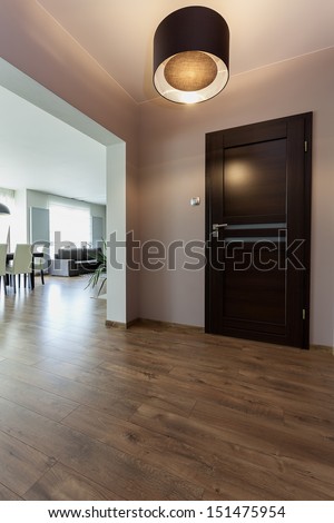 Urban apartment - corridor and view at modern living room
