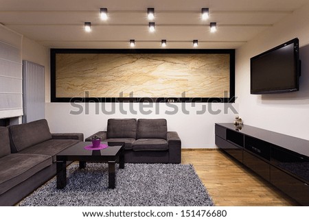 Urban apartment - comfortable living room with grey sofas