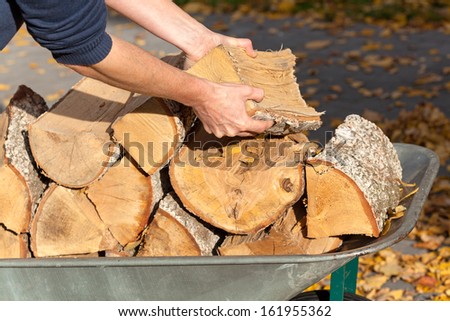 Man placing the heavy pieces of firewood on the wheelbarrow