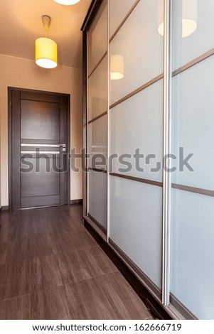 Urban apartment - door in corridor and huge wardrobe
