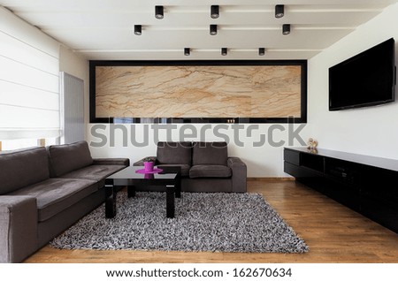 Urban Apartment - Spacious Living Room With Grey Sofa