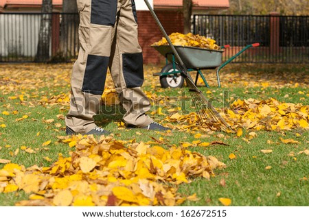Man during autumn cleaning works on the backyard,