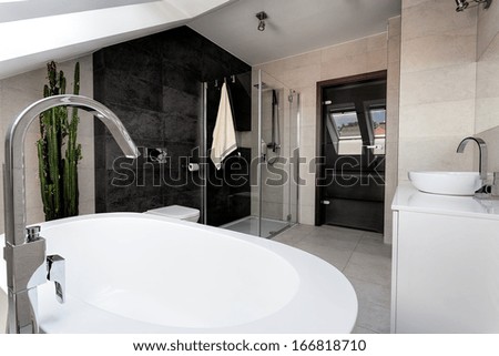 Urban apartment - interior of a luxury bathroom