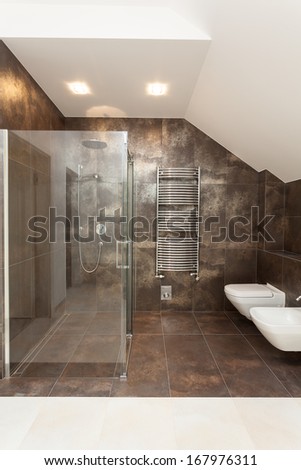 Glass modern shower, wc and bidet in bathroom