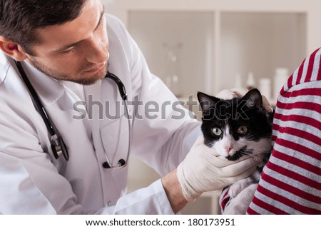 Young vet examining pretty black and white cat