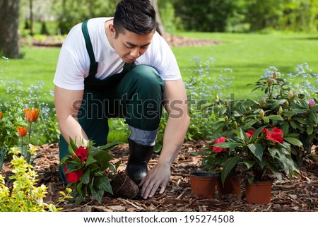 Planting flowers in a beautiful green garden