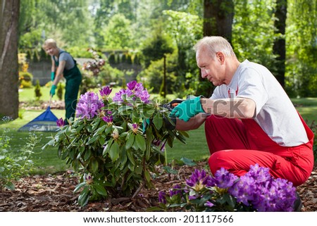 Mature couple in overalls work in the garden