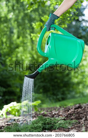 Watering the flowers in a garden, vertical