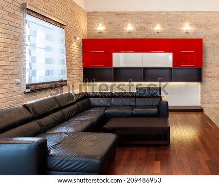 Black leather couch in the apartment, horizontal