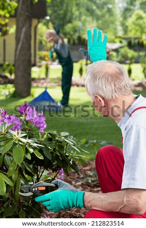 Couple working together in a garden, vertical