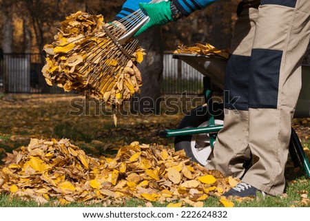 View of gardener cleaning garden during autumn
