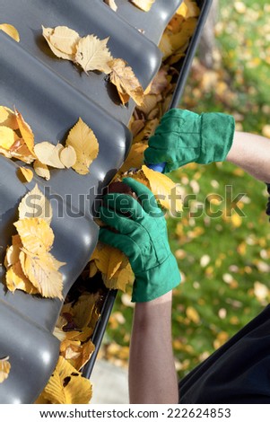 Gardener fixing rain gutter during autumn time
