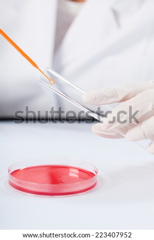 Female scientist using Petri plate to do experiment