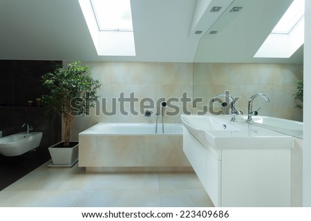 View of spacious bathroom in the attic