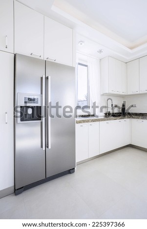 Spacious bright beauty kitchen with big fridge