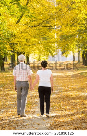 Elderly walking couple holding theirs hands