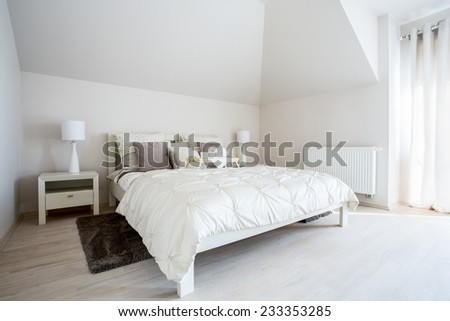 Spacious, bright bedroom with big twin bed