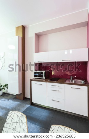 Small kitchen area in the apartment in city centre