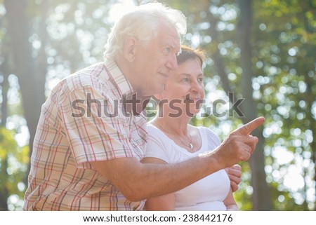 Elderly happy couple spending afternoon together in park