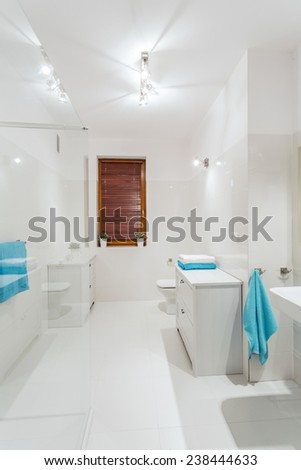 White clean bathroom in luxury apartment