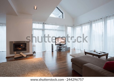 Beauty furnished drawing room with sofa and television