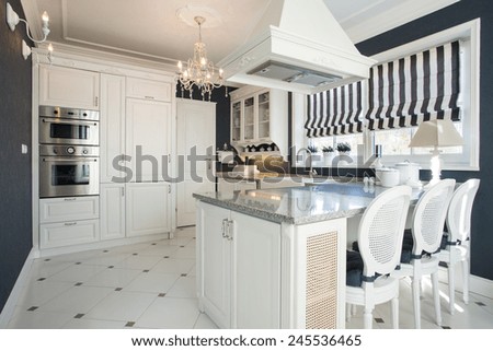 Beauty modern kitchen interior with white furniture