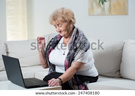 Modern grandma talking on the skype with grandson