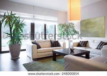 Horizontal view of living space inside house