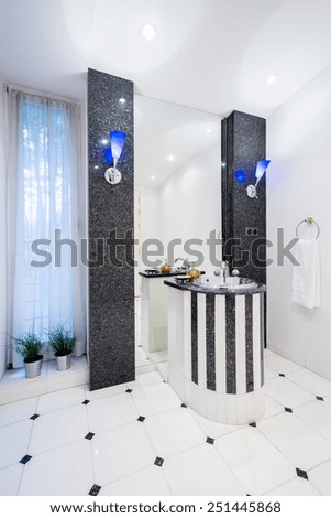 Expensive bathroom in rich people house, vertical