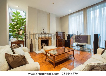 Living area in traditional style interior, horizontal