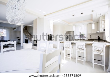 Interior of modern kitchen in a spacious apartment