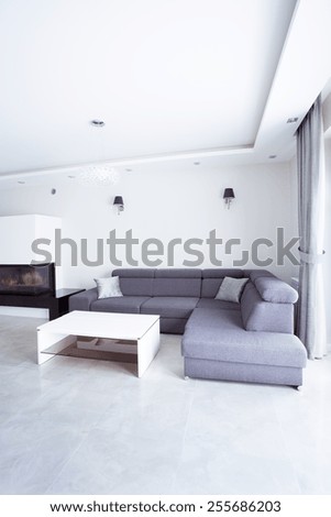 Gray corner sofa in modern living room