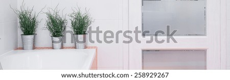 Plants in metal flower pots on the bathtub