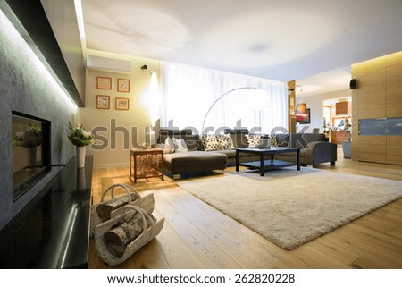 Enormous bright lounge with big comfortable sofa