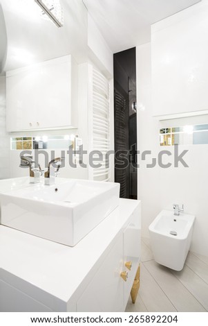 Interior of white bathroom with porcelain elements