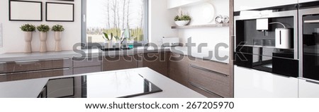 Wooden kitchen cabinet in bright modern kitchen