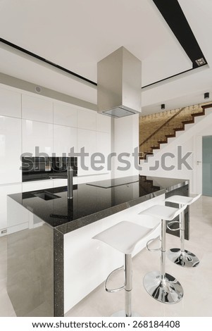 Black and white stylish kitchen in luxury residence