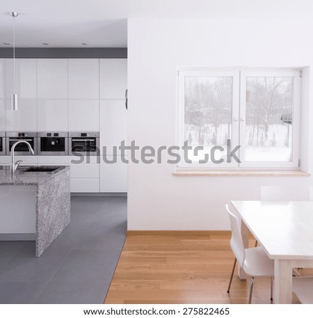 Modern kitchen connected with dining hall