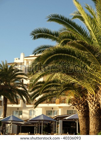 Palms and Spanish houses landscape.