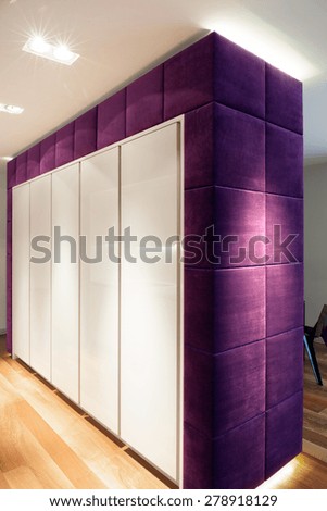 Big white and violet closet in exclusive apartment