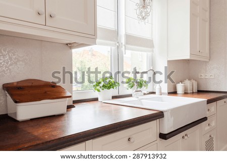 Horizontal view of beauty designed retro kitchen