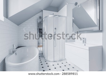 Small bright bathroom in classic modern style