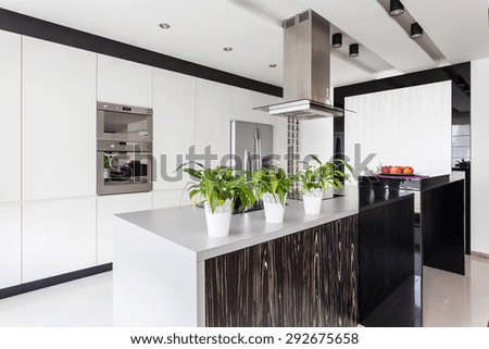 White kitchen unit and worktop in modern interior