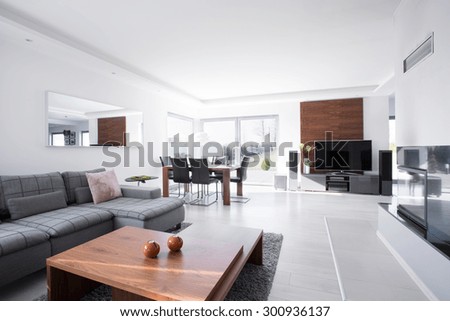 Modern and spacious living room in the house