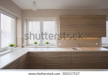 Simple modern spacious kitchen with wooden furniture