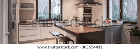 Beautiful modern kitchen hood in elegant style