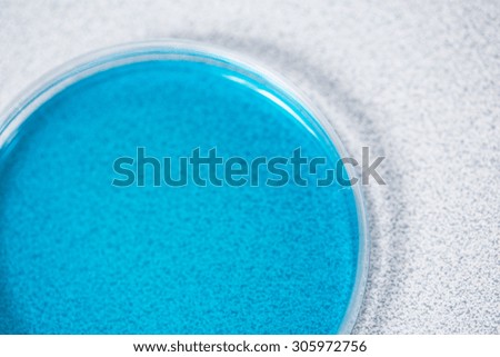 Close-up of blue Petri plate with microorganisms