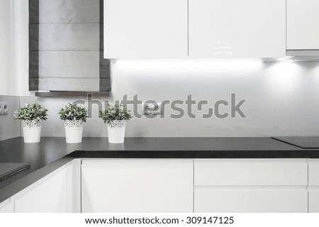Cozy kitchen interior in modern detached house
