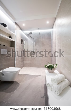 Image of modern luxurious bathroom interior with stylish fitting